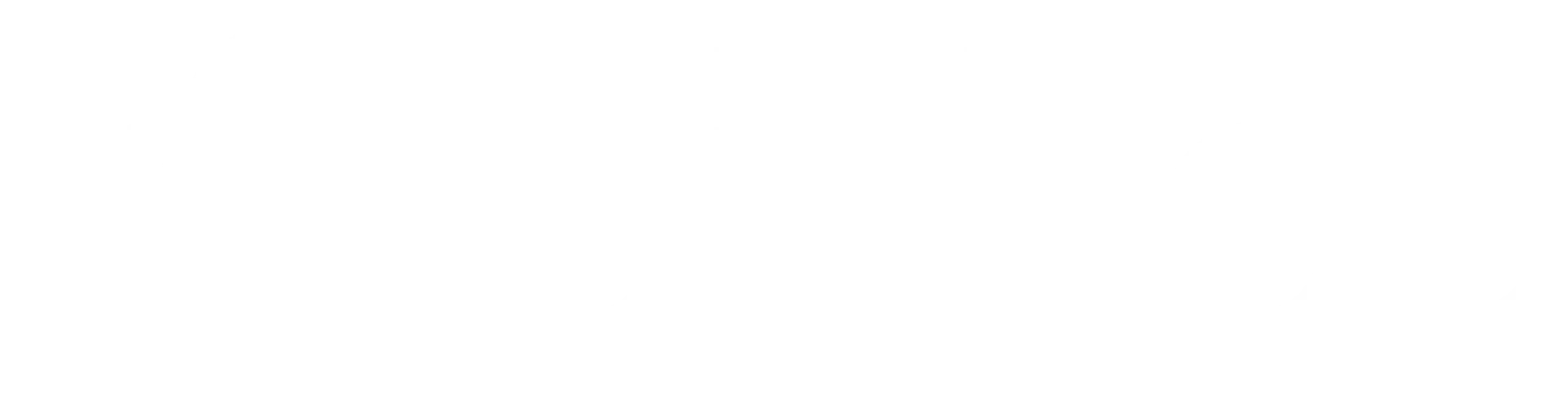 Logo L'Oeil Fou